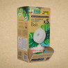 Absorbeur en bois BALI + Boîte de 5 galets 450g Neutre